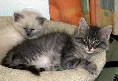 Noel und Dusty